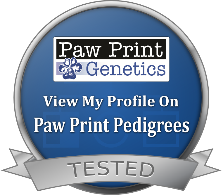 Paw Print Genetics tested badge inviting visitors to view a Paw Print Pedigrees profile