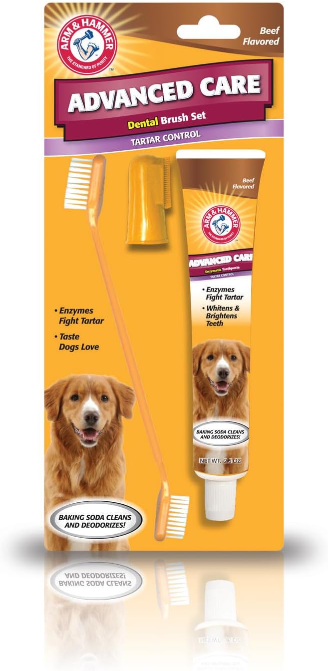 Arm & Hammer Dental Kit
